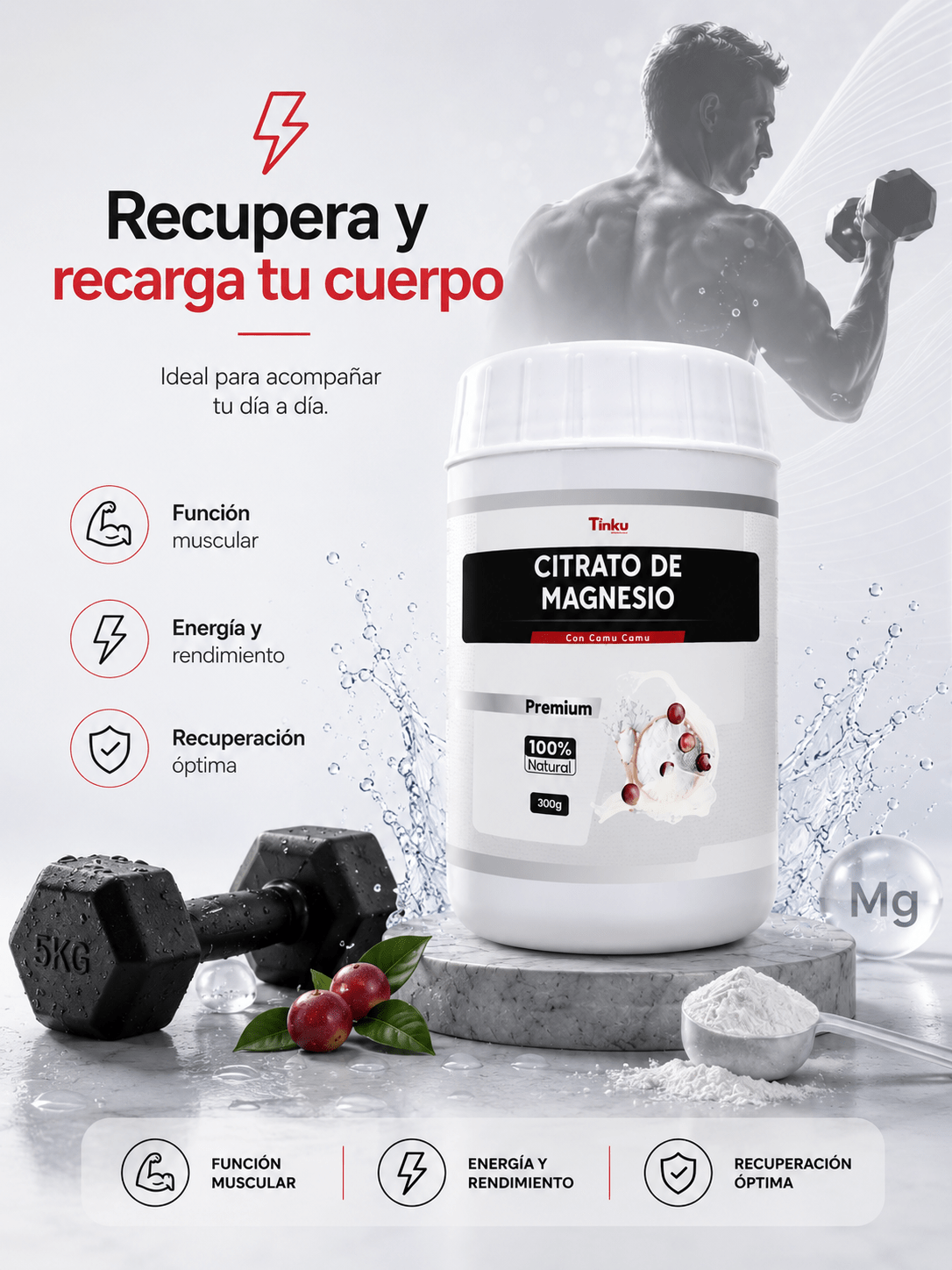 Ampliar imagen