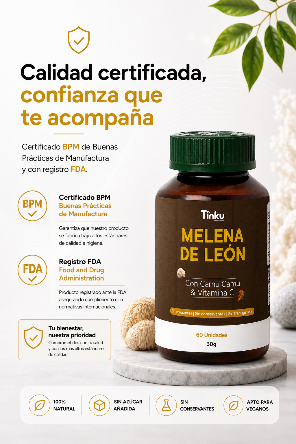 Ampliar imagen