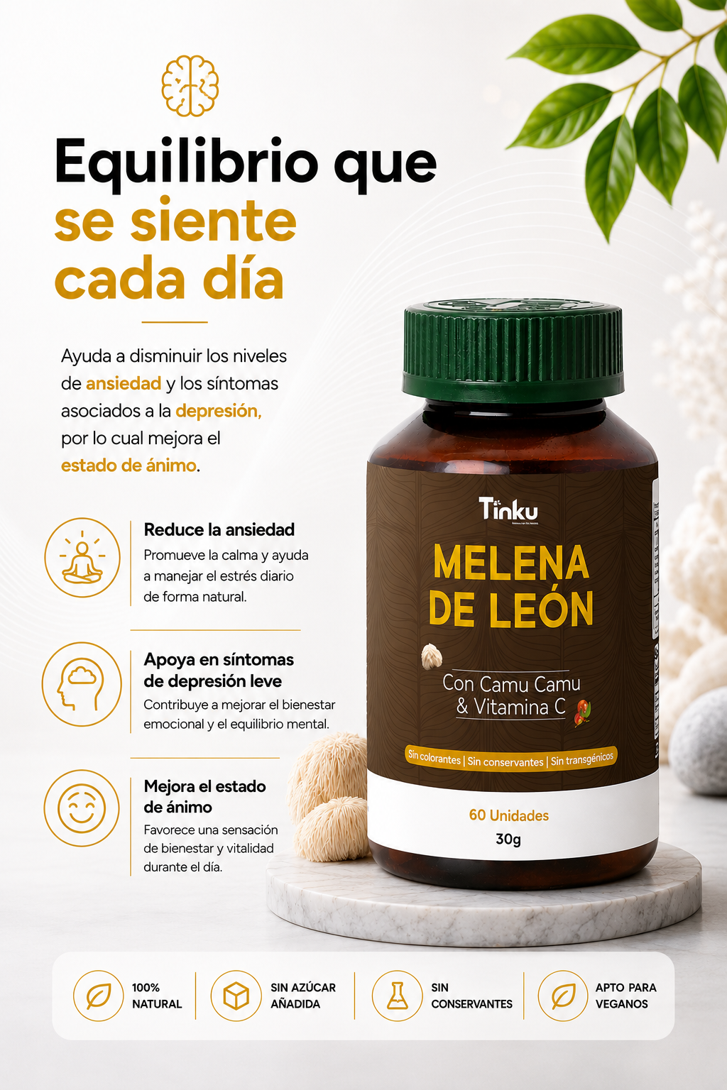 Ampliar imagen