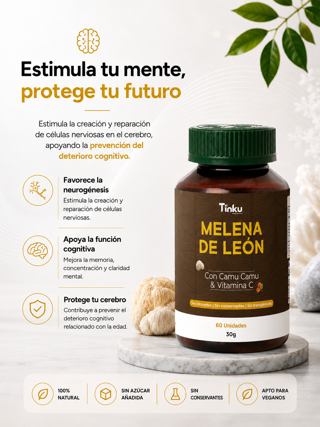 Ampliar imagen